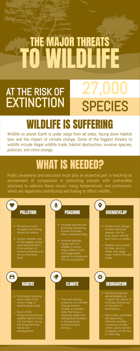 Wildlife Conservation Infographic Infographic Template